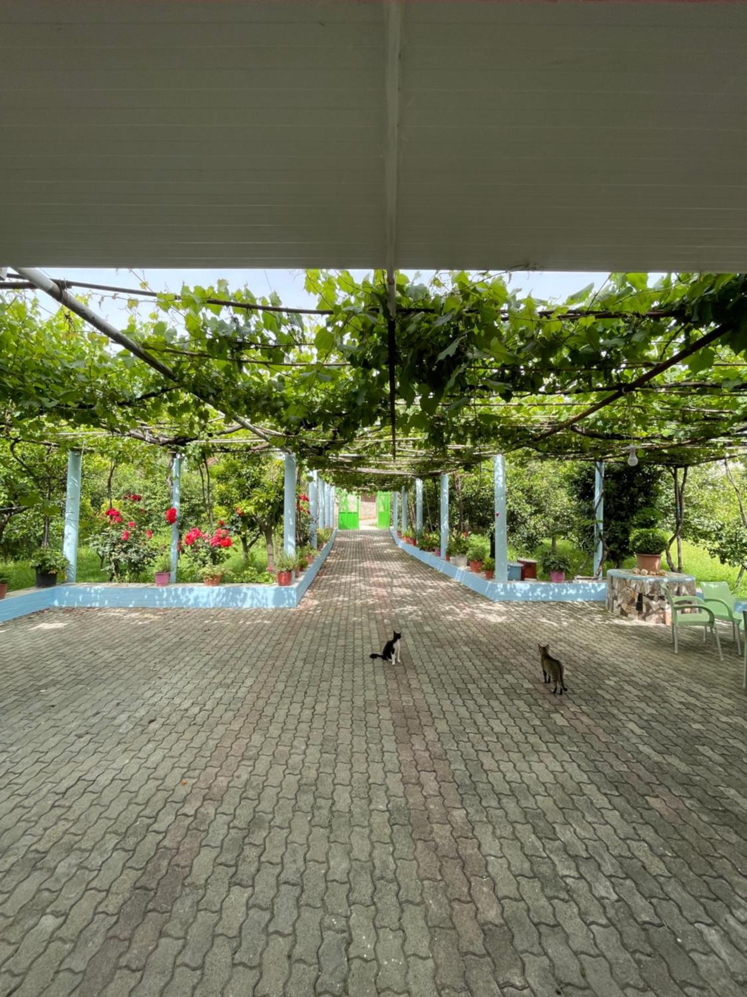 Villa Mance เบราท ภายนอก รูปภาพ